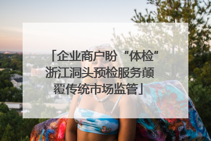 企业商户盼“体检” 浙江洞头预检服务颠覆传统市场监管