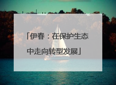 伊春：在保护生态中走向转型发展