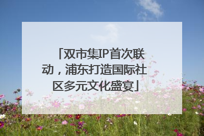双市集IP首次联动，浦东打造国际社区多元文化盛宴