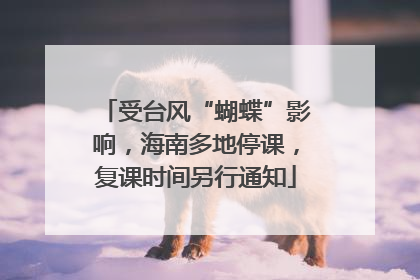 受台风“蝴蝶”影响，海南多地停课，复课时间另行通知