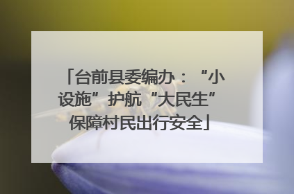 台前县委编办：“小设施”护航“大民生” 保障村民出行安全