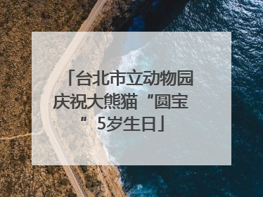 台北市立动物园庆祝大熊猫“圆宝”5岁生日