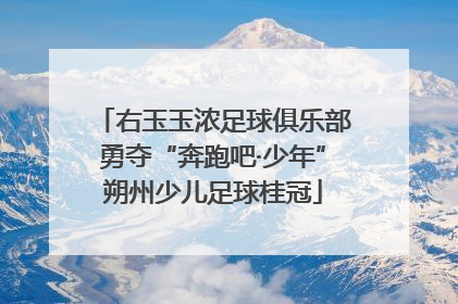 右玉玉浓足球俱乐部勇夺“奔跑吧·少年”朔州少儿足球桂冠