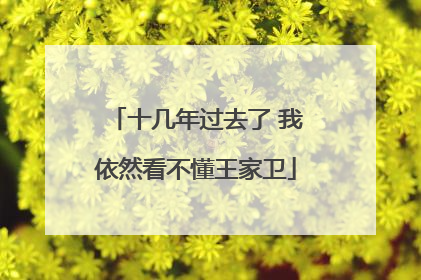 十几年过去了 我依然看不懂王家卫
