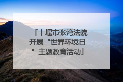 十堰市张湾法院开展“世界环境日”主题教育活动