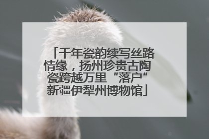 千年瓷韵续写丝路情缘，扬州珍贵古陶瓷跨越万里“落户”新疆伊犁州博物馆