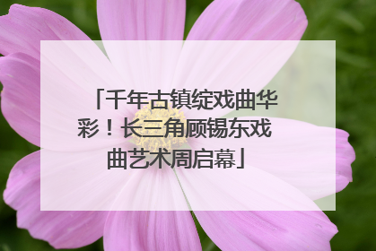 千年古镇绽戏曲华彩！长三角顾锡东戏曲艺术周启幕