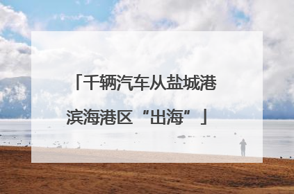 千辆汽车从盐城港滨海港区“出海”