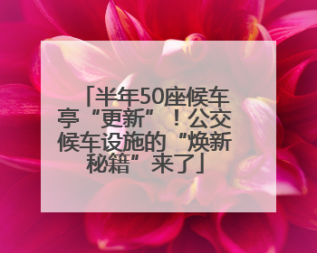 半年50座候车亭“更新”！公交候车设施的“焕新秘籍”来了