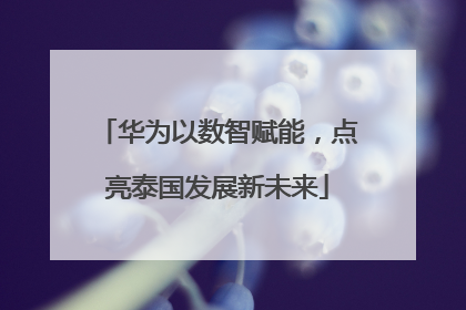 华为以数智赋能，点亮泰国发展新未来