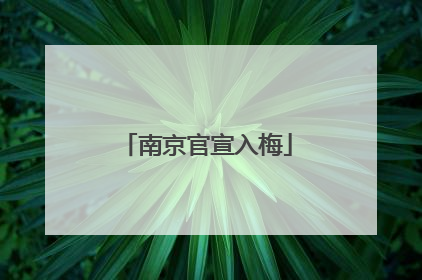 南京官宣入梅