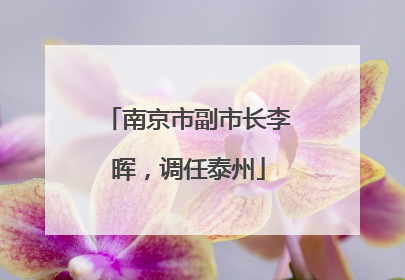 南京市副市长李晖，调任泰州