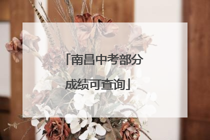 南昌中考部分成绩可查询