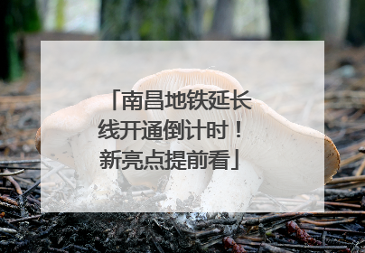 南昌地铁延长线开通倒计时！新亮点提前看