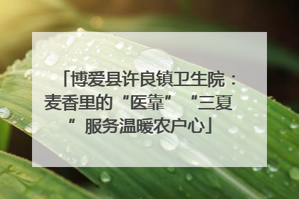 博爱县许良镇卫生院：麦香里的“医靠”“三夏”服务温暖农户心