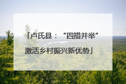 卢氏县：“四措并举”激活乡村振兴新优势