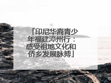 印尼华裔青少年福建漳州行：感受祖地文化和侨乡发展脉搏