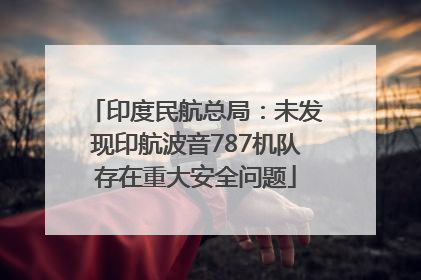 印度民航总局：未发现印航波音787机队存在重大安全问题