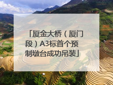 厦金大桥（厦门段）A3标首个预制墩台成功吊装
