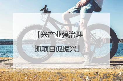 兴产业强治理 抓项目促振兴