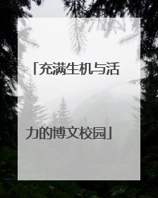 充满生机与活力的博文校园