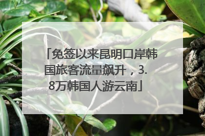 免签以来昆明口岸韩国旅客流量飙升，3.8万韩国人游云南