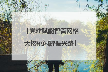 党建赋能智管网格 大樱桃闪耀振兴路