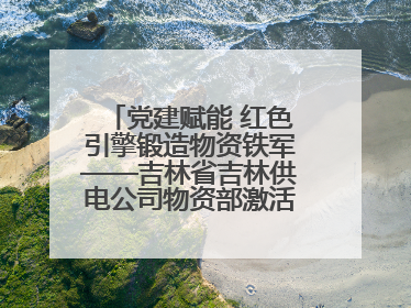 党建赋能 红色引擎锻造物资铁军——吉林省吉林供电公司物资部激活供应链新动能