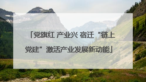 党旗红 产业兴 宿迁“链上党建”激活产业发展新动能