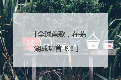 全球首款，在芜湖成功首飞！