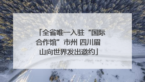 全省唯一入驻“国际合作馆”市州 四川眉山向世界发出邀约