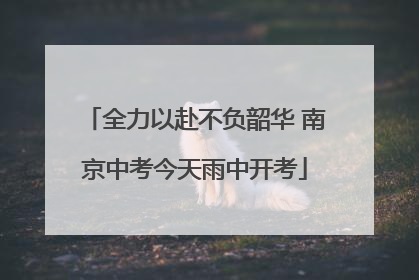 全力以赴不负韶华 南京中考今天雨中开考