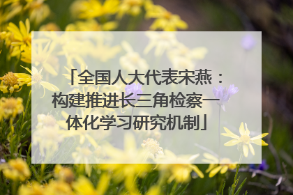 全国人大代表宋燕：构建推进长三角检察一体化学习研究机制
