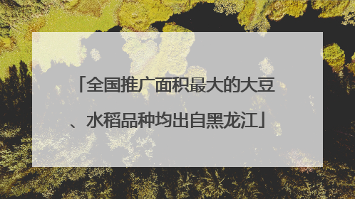 全国推广面积最大的大豆、水稻品种均出自黑龙江