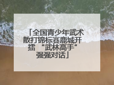 全国青少年武术散打锦标赛鹿城开擂 “武林高手”强强对话