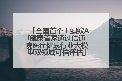 全国首个！蚂蚁AI健康管家通过信通院医疗健康行业大模型双领域可信评估