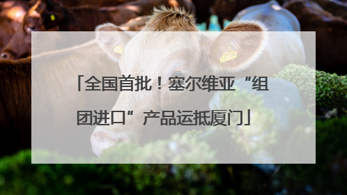 全国首批！塞尔维亚“组团进口”产品运抵厦门