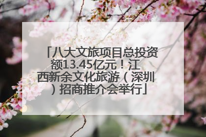 八大文旅项目总投资额13.45亿元！江西新余文化旅游（深圳）招商推介会举行
