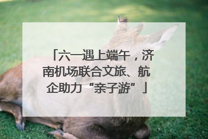 六一遇上端午，济南机场联合文旅、航企助力“亲子游”