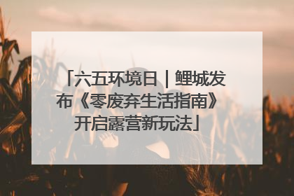 六五环境日｜鲤城发布《零废弃生活指南》开启露营新玩法