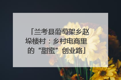 兰考县葡萄架乡赵垛楼村：乡村电商里的“甜蜜”创业路