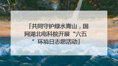 共同守护绿水青山，国网湖北电科院开展“六五”环境日志愿活动
