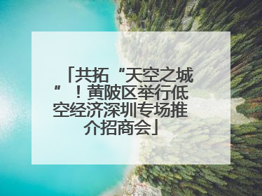 共拓“天空之城”！黄陂区举行低空经济深圳专场推介招商会