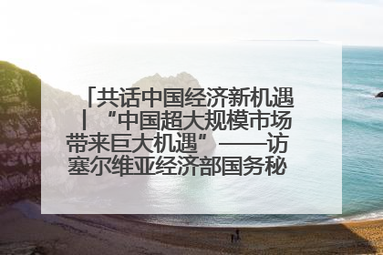 共话中国经济新机遇丨“中国超大规模市场带来巨大机遇”——访塞尔维亚经济部国务秘书尼科利奇