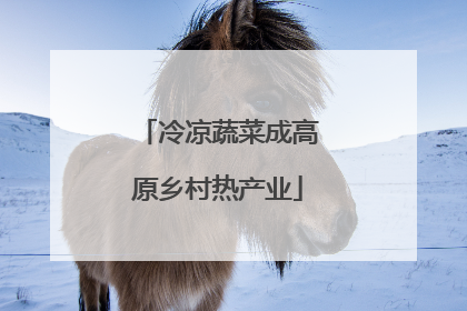 冷凉蔬菜成高原乡村热产业