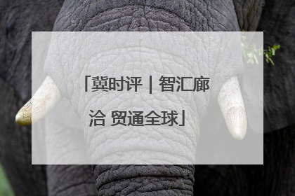 冀时评｜智汇廊洽 贸通全球