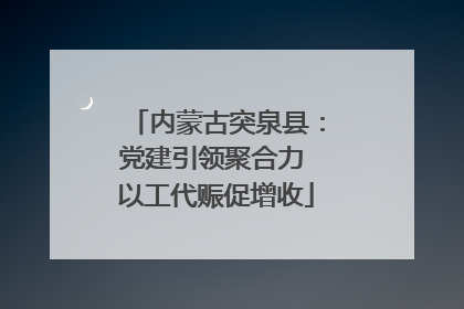 内蒙古突泉县：党建引领聚合力 以工代赈促增收