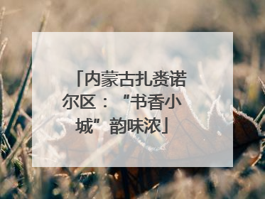内蒙古扎赉诺尔区：“书香小城”韵味浓