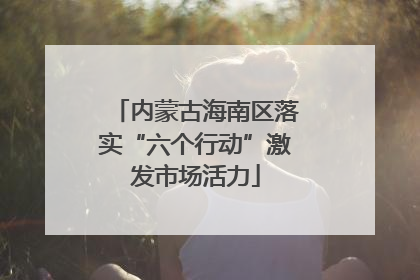 内蒙古海南区落实“六个行动”激发市场活力