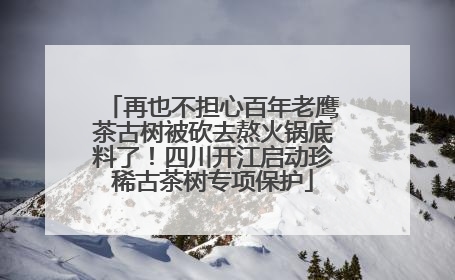 再也不担心百年老鹰茶古树被砍去熬火锅底料了！四川开江启动珍稀古茶树专项保护
